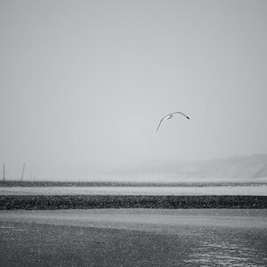 DSC_2508.jpg