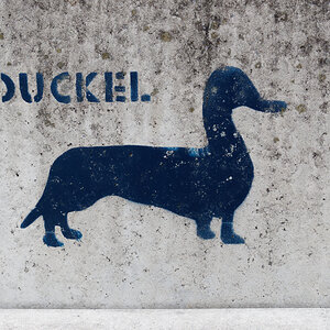 Duckel.jpg
