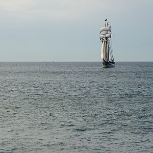 OF2_65497.jpg