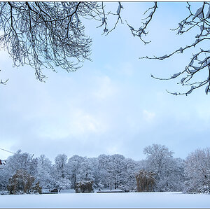 Kieler Schrevenpark im Dezember – Winterwunderland I