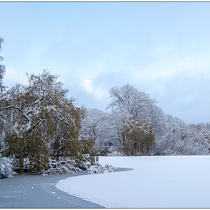 Kieler Schrevenpark im Dezember – Winterwunderland III