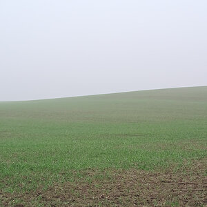Nebel.jpg