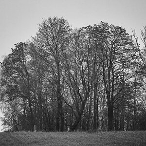 Dezemberspaziergang BW.jpg