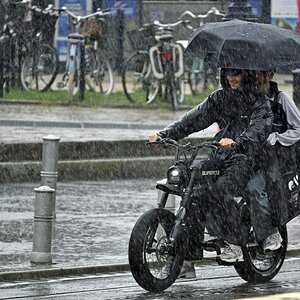 05_regen.jpg