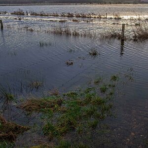 Hochwasser Seewiesen 1.jpg