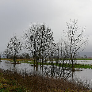 811_8531t10l15s45p1.jpg