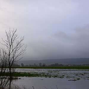 811_8532t15l20s50p1.jpg
