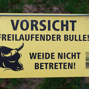 Bullenweide.jpg