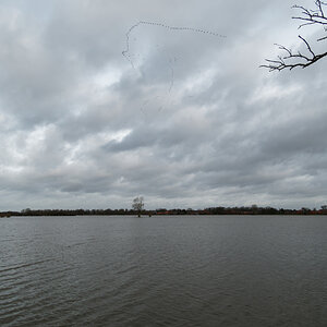 Geestrand mit Vogelzug.jpg