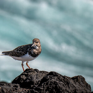 20231119-NZ6_9017.jpg