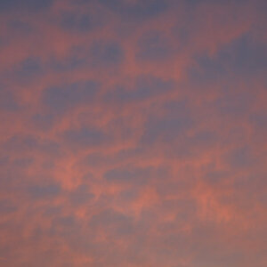 DSCN0097-1MB.JPG