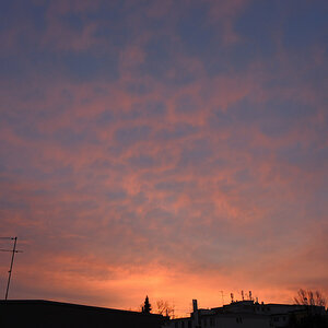 DSCN0098-1MB.JPG