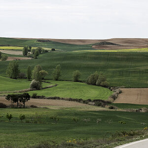 A00_7696-Bearbeitet.JPG