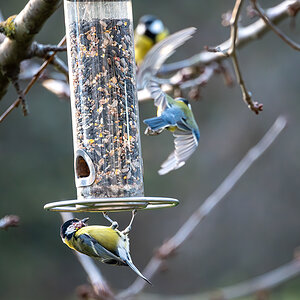 DSC_1407-Verbessert-RR.jpg
