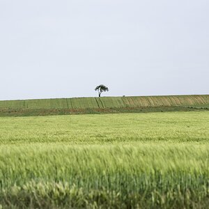A00_7721-Bearbeitet.JPG