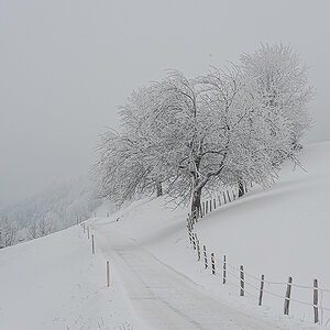 Winter.jpg