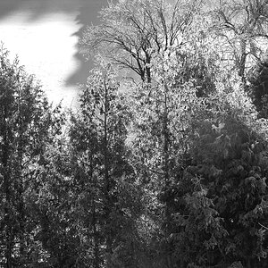 DSC07972-Edit.jpg
