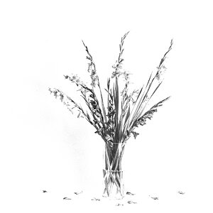 P1280028-Edit.jpg
