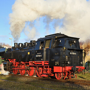 DSC_9503.JPG
