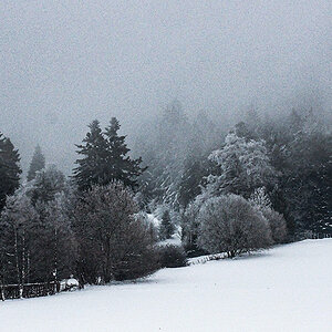 P1270885-Edit.jpg