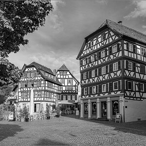 DZ7_8891.jpg