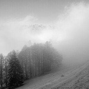 Nebel.jpg