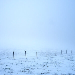 Nebel.jpg