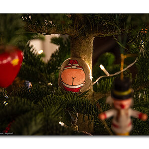 20240106_Weihnachtspöter_0005 WEB FORUM.jpg