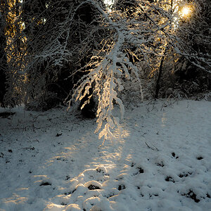_1180100-Edit.jpg