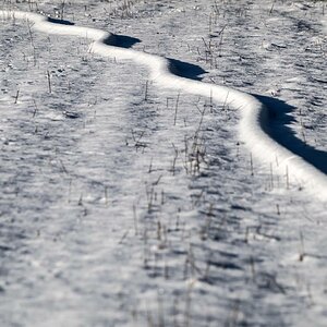 Schneeschlange.jpg