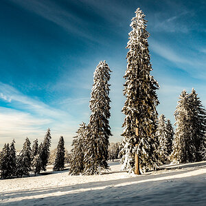 _1180070-Edit.jpg
