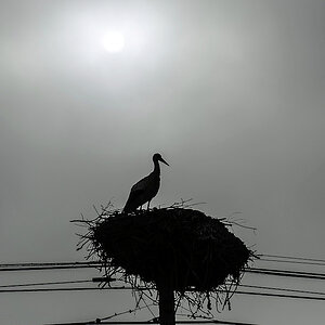 A00_7846-Bearbeitet.JPG