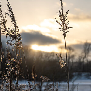 50Z_0679-Verbessert-RR.jpg
