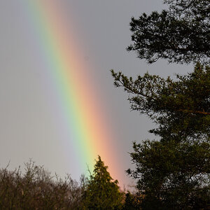 DSC_7307.JPG