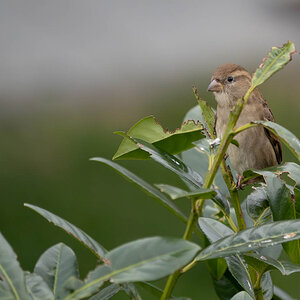 P1057830-2.jpg