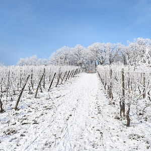 P1215924aklein.jpg