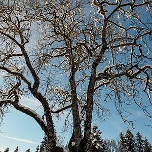 _1180087-Edit.jpg