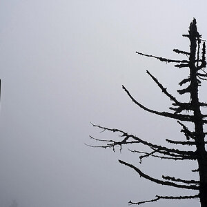 A00_6158-Bearbeitet.jpg