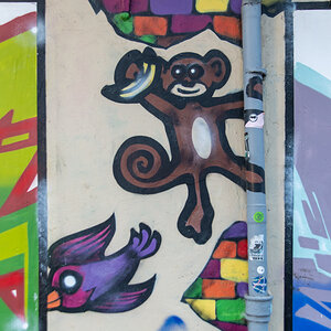 231114 Graffiti Steintorviertel-5.jpg