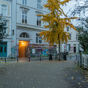 231114 Graffiti Steintorviertel-7.jpg