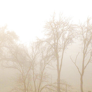 P1270001-Edit.jpg