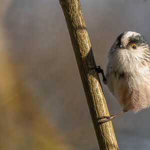 P1081157-2.jpg