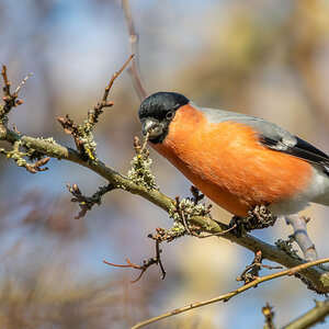 P1081638-3.jpg