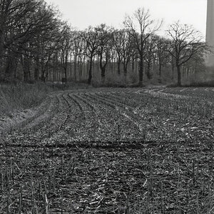 _DSC0308_DxOPxl.jpg