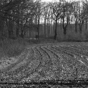 _DSC0307_DxOPAxl.jpg