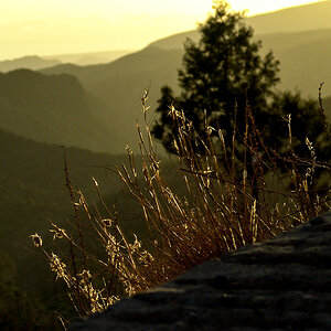 DSC05619-Edit.jpg
