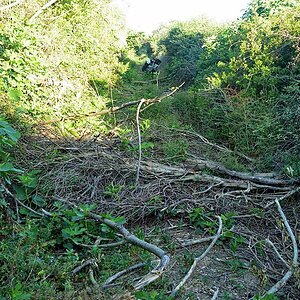 A00_7882.JPG