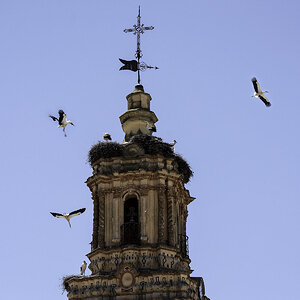 A00_7890-Bearbeitet.JPG