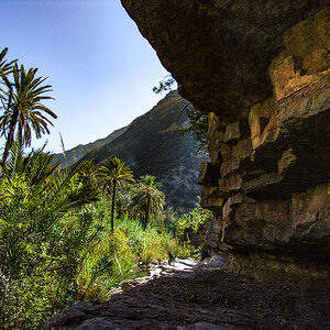 DSC05664-Edit.jpg