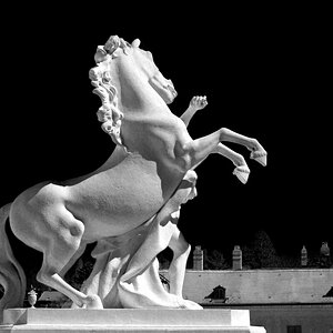 Belvedere II